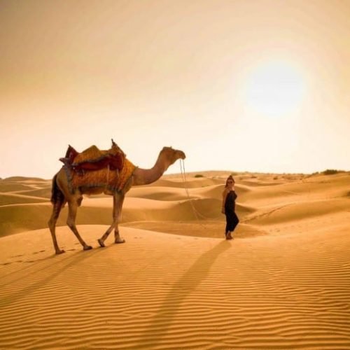 2025-06-13T09-44-44.458Z-jisalmerdesert